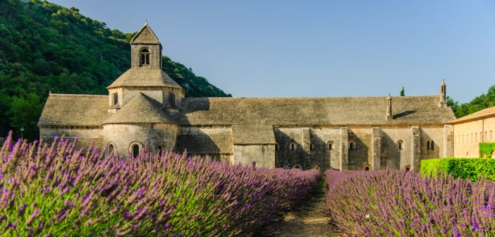 L’abbaye de Valmagne : un joyau cistercien au cœur du Languedoc-Roussillon